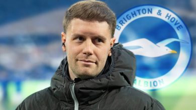 "Transforming Brighton: Hurzeler's Plan for Premier League Success...Read more