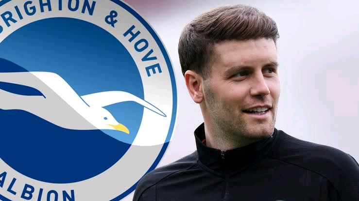 "Fabian Hurzeler: The Young Texan Set to Make Premier League History with Brighton & Hove Albion"